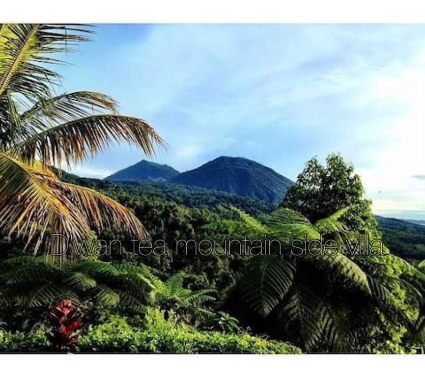 Dwan Tea Mountain Side Bed & Breakfast Jatiluwih Exterior photo
