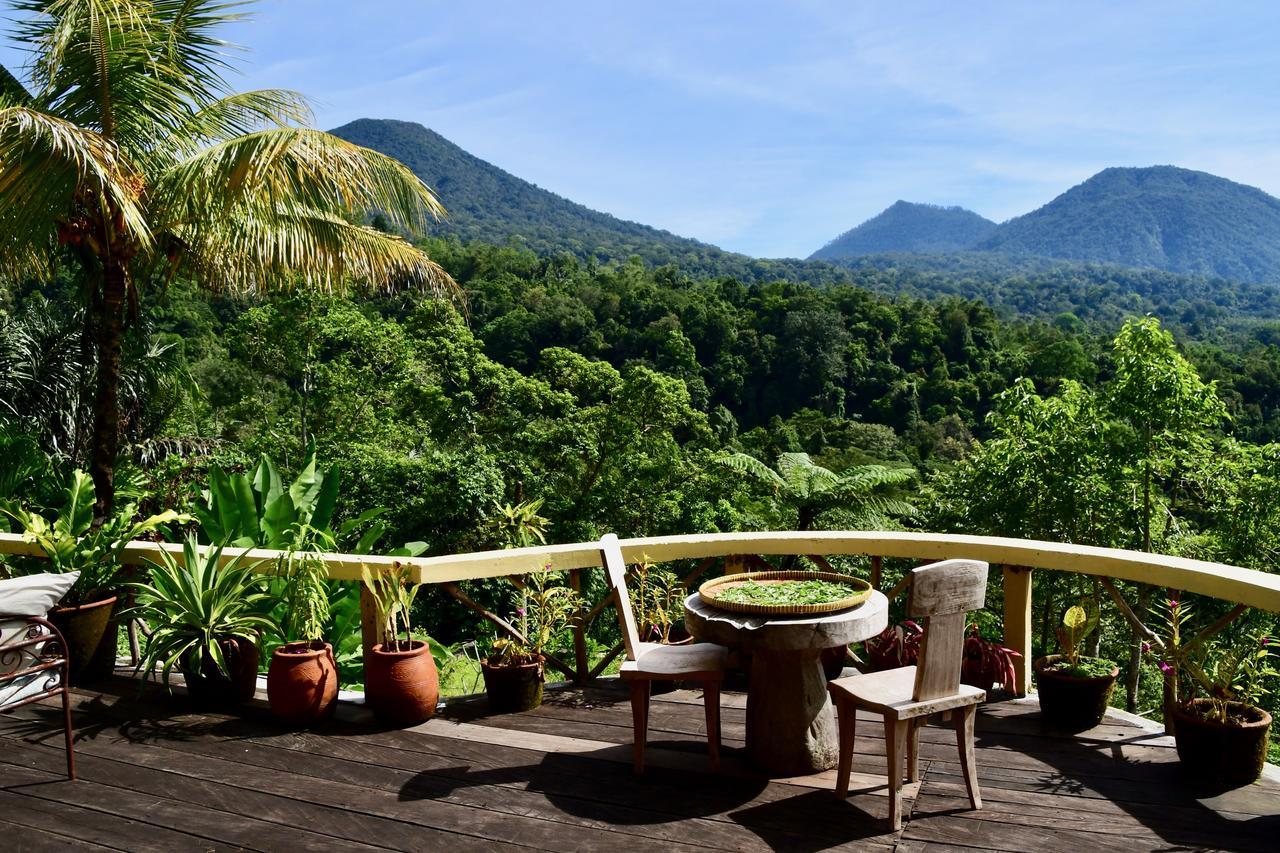 Dwan Tea Mountain Side Bed & Breakfast Jatiluwih Exterior photo