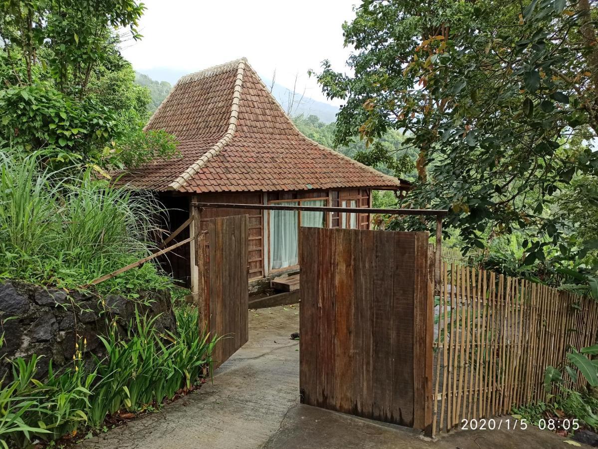Dwan Tea Mountain Side Bed & Breakfast Jatiluwih Exterior photo